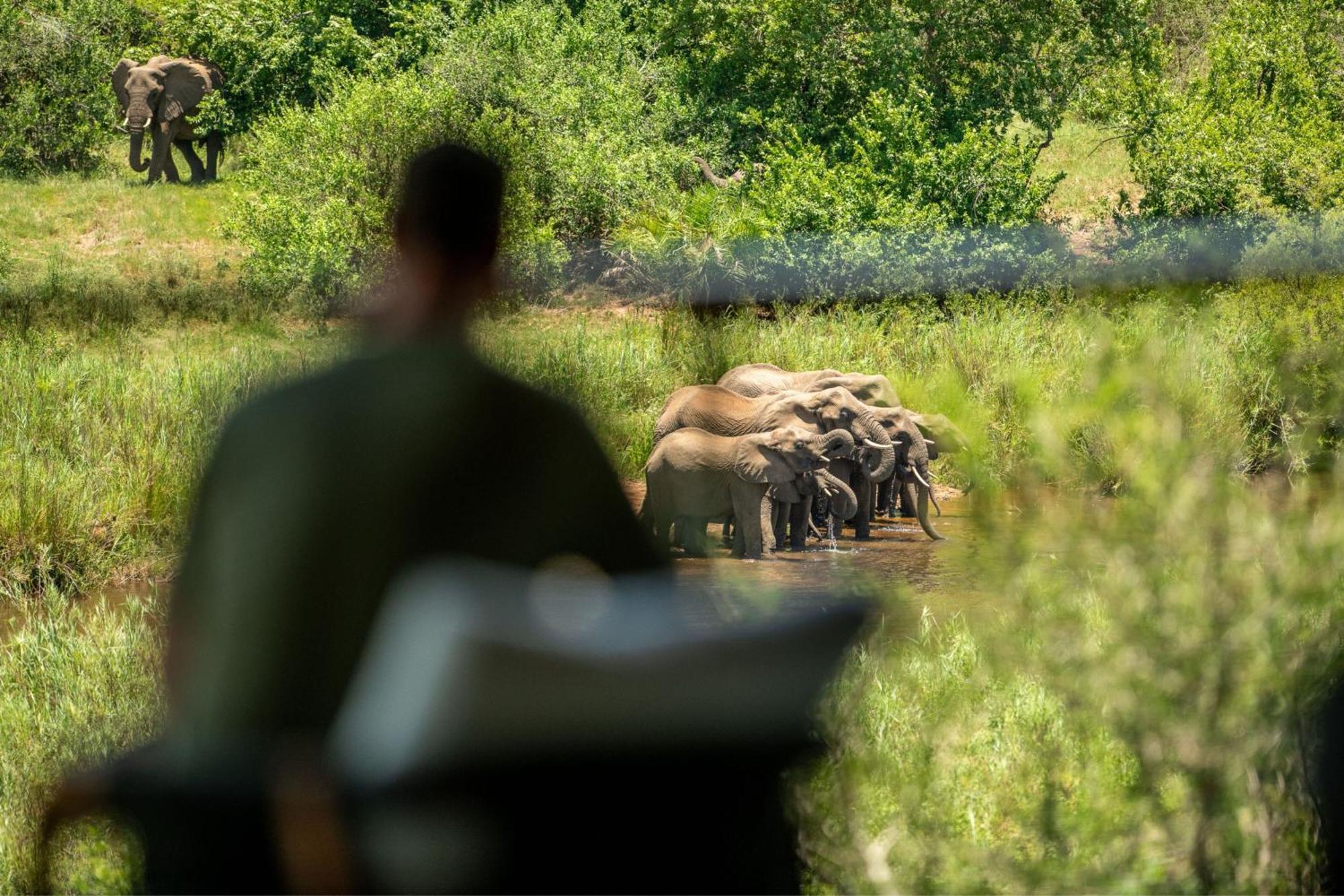 Leopard Sands Kruger Park 史库库莎 外观 照片