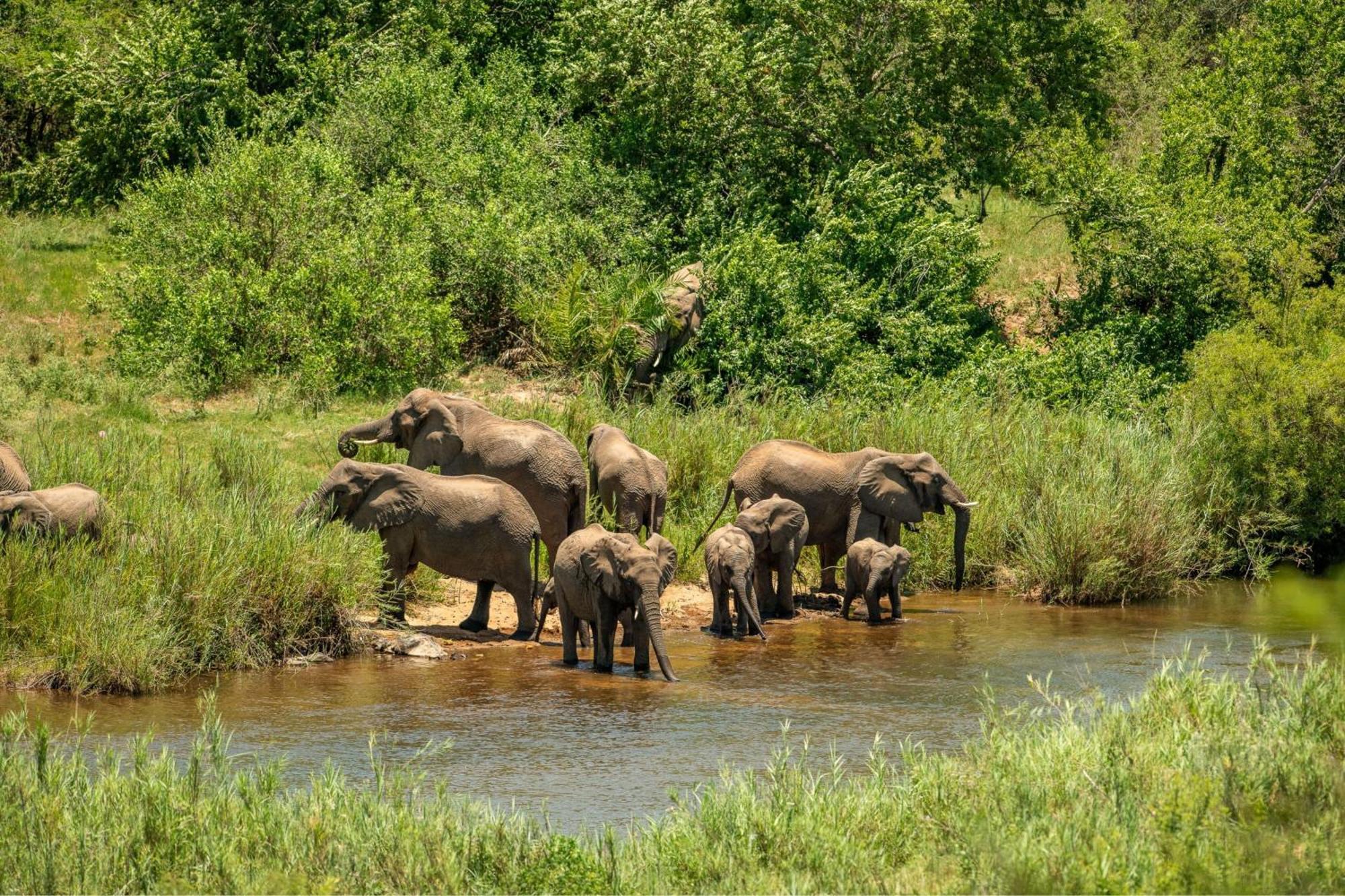 Leopard Sands Kruger Park 史库库莎 外观 照片