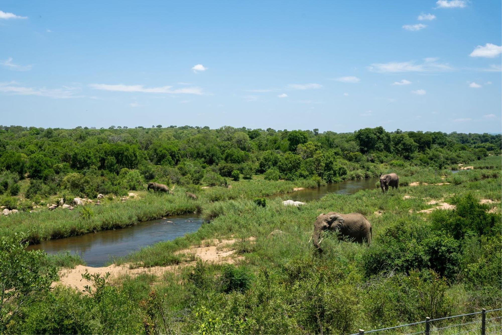 Leopard Sands Kruger Park 史库库莎 外观 照片